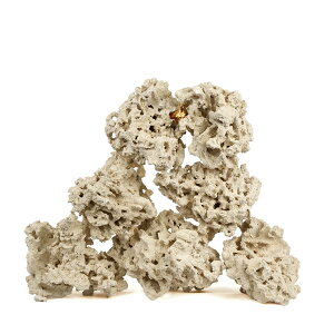 }RbN@[tZ[o[@GbWiEdgej@MTCY@16`20kg@Cp@p΁@fXbN@΃TS@֓