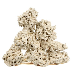 }RbN@[tZ[o[@GbWXiEdgelessj@MTCY@16`20kg@Cp@p΁@fXbN@΃TS@֓