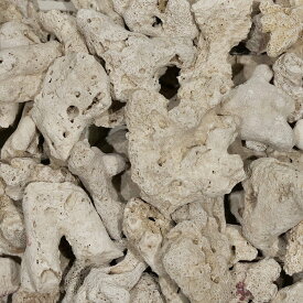 ＃40　C．P．Farm　天然サンゴ砂　＃40　Natural　coral　sand　3L　関東当日便