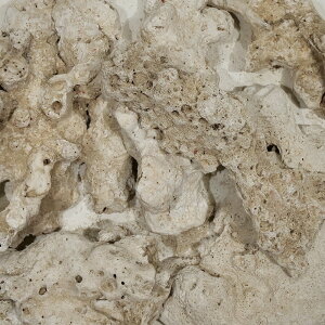 200@CDPDFarm@VRTS@200@Natural@coral@sand@3L@֓