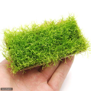 ij琬ρ@VA@v[gitji_ji1j@kCEBq֗vۉ