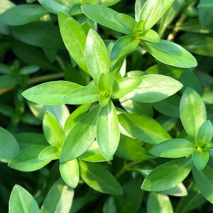 ijhEBWA@uryXitji_ji10{j