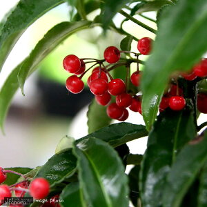 iR쑐j@II~}E@^JuliDj@Ԏ@5`6i1j