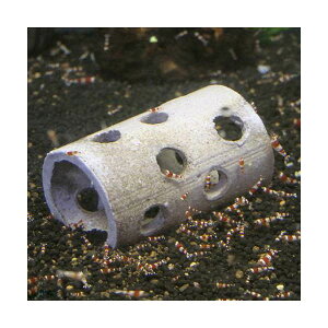 アウトレット品 益子焼 タワー穴あき 信楽 訳あり 関東当日便