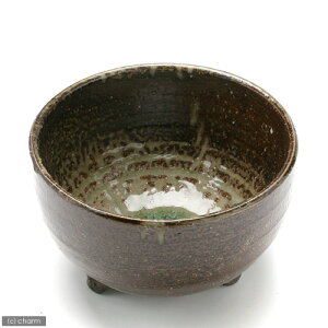 AEgbgi@@@vqā@t[@Dց@󂠂@֓