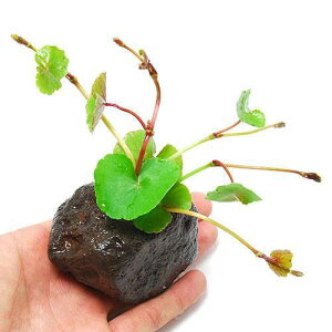 ijA}]`hOTitjnΕti_ji1j