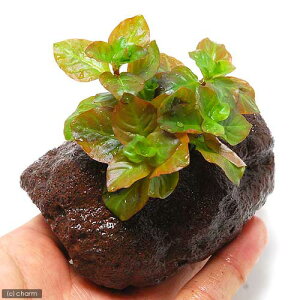 ijhEBWA@IoXi~YLmV^jitjnΕti_ji1j