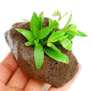 ij{lI@fjAitjnΕti_ji1j