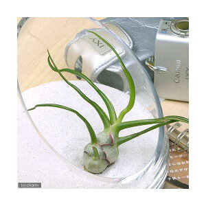 iϗtAjGA[vc@`WA@u{[Ti1j