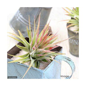 iϗtAjGA[vc@`WA@CIi^@}LV}i1j