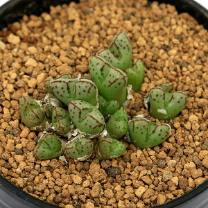 iAjRmtBc@^eB@wiG@2i1j