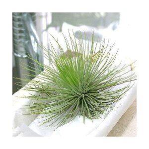 iϗtAjGA[vc@`WA@AhAii1j