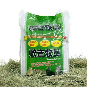 OW@~qio~[_OXj1kg@@@ll6_@֓