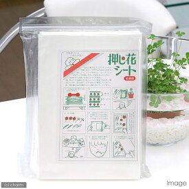 押し花乾燥シート　厚さ3mm　レギュラーサイズ　6枚（180×265mm）　関東当日便