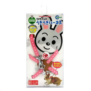 }J@̂n[lXisNj@@n[lX@֓