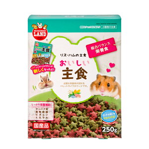 }J@XEnX^[̂H@250g@nX^[t[h@@GT@a@֓