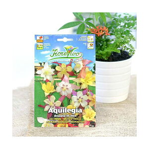 HORTUS�@�C�^���A�̉Ԃ̎�@���m�I�_�}�L�@Art�DA084�@�ƒ�؉��@�֓�������
