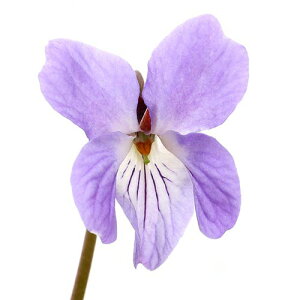 iR쑐jX~i俁jX~TCVi俍אhj3i1|bgjixԁj