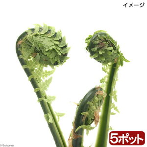 iR쑐jR؁@RS~iNT\ecj@3`4i5|bgZbgjƒ؉ixԁj