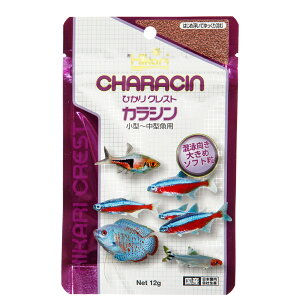 L[@ЂNXg@JV@12g@ll50_@֓