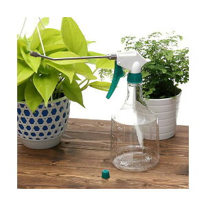 UEXv[iUqEOmYtj@1000cc@1057@֓