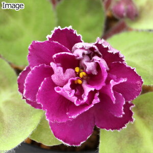 iϗtAjZg|[A@TVbX@2D5`3i1j@d炫ixԁj