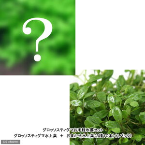 ijOb\XeBO}yiZbg@Ob\XeBO}{܂ti_ji310{j