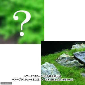 ijwA[OXV[gyiZbg@wA[OXV[gti_j{܂ti_ji310{j