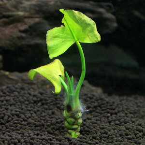 ijTCWEREzl@s3`10cmitji_ji1j