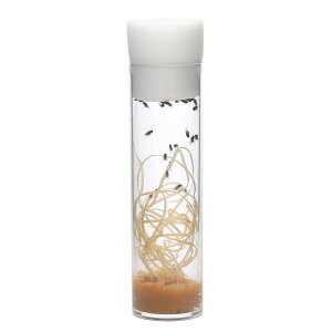 iajgjhVEWEoGitCgXji1{j@^JG@T}_[@a@GT@a@kCEBq֗vۉ