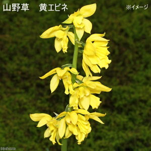 iR쑐jGrliCVjGrliCVj@3D5i3|bgZbgjixԁj