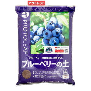 AEgbgi@|{y@vg[t@u[x[̓y@14bg@ll2_@󂠂@֓