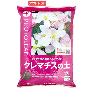 AEgbgi@|{y@vg[t@N}`X̓y@12L@ll4_@󂠂@֓