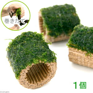 ijā@Ct}`ijouXitji_ji1j