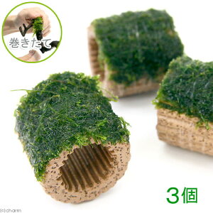 ijā@Ct}`ijouXitji_ji3j