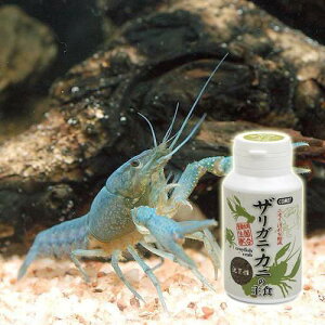 Rbg@UKjEJj̎H@@40g@@a@֓