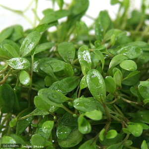 ijOb\XeBO}itji_ji1pbNj@kCEBq֗vۉ