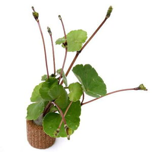 ijCt}`ijA}]`hOTitji_ji1j