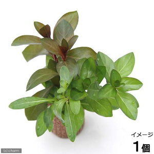 ijCt}`ijhEBWA~bNXitji_ji1j