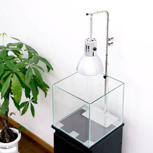 J~n^@HeXpX^h@炭炭X^h@֓