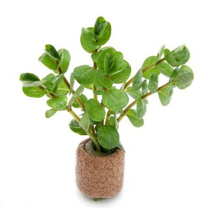 ijCt}`ij^@gfBtHAitji_ji1j