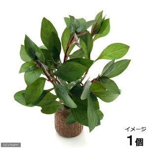 ijCt}`ijhEBWA@yX@ritji_ji1j