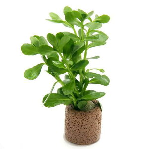 ijCt}`ijoRp@jGitji_ji1j