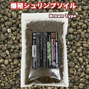 G{[V@BVv\C@uE@200cc@Mы@pi@֓