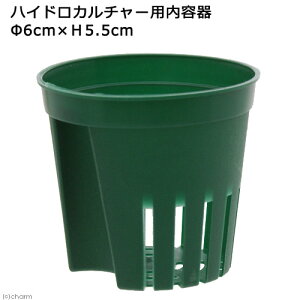 nChJ`[pe@a6×5D5cm@֓