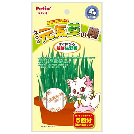 ペティオ　ネコの元気草の種　15g×5本入　猫草　関東当日便