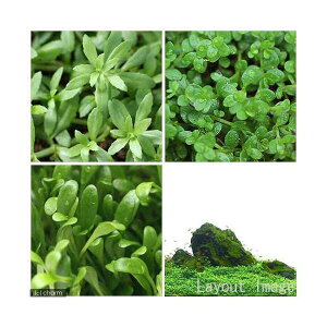 ijOi3Zbgitji_jOb\EL[op[ExgiS}mnOT@kCEBq֗vۉ