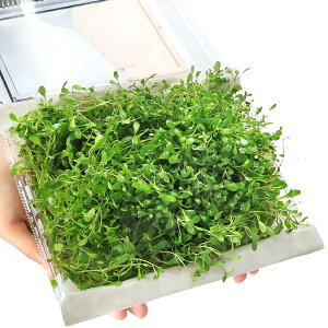 ijOb\XeBO}itj吷@i_ji1pbNj@kCEBq֗vۉ