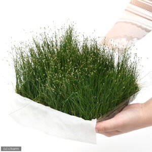 ijwA[OXitj吷yti_ji1pbNj