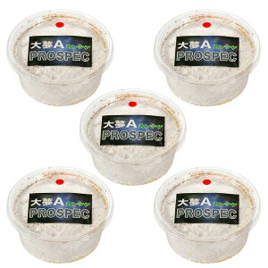 ێJbv@喲A@vXybN@iJ^Pj@Jbv@200cc@5